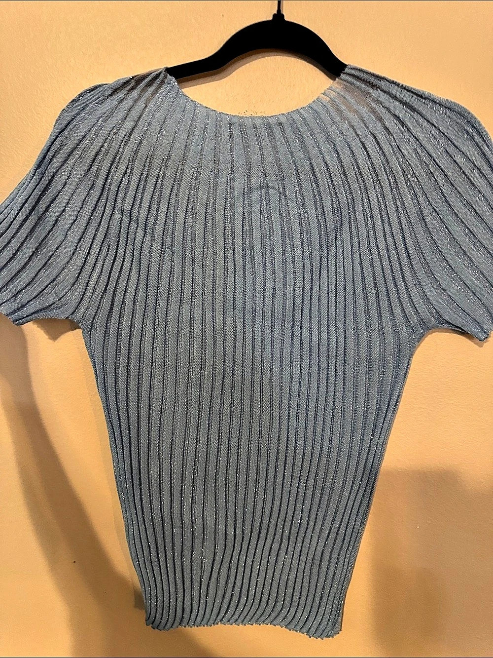 Anwesta Ribbed Short Sleeve Top in Blue XL Like New